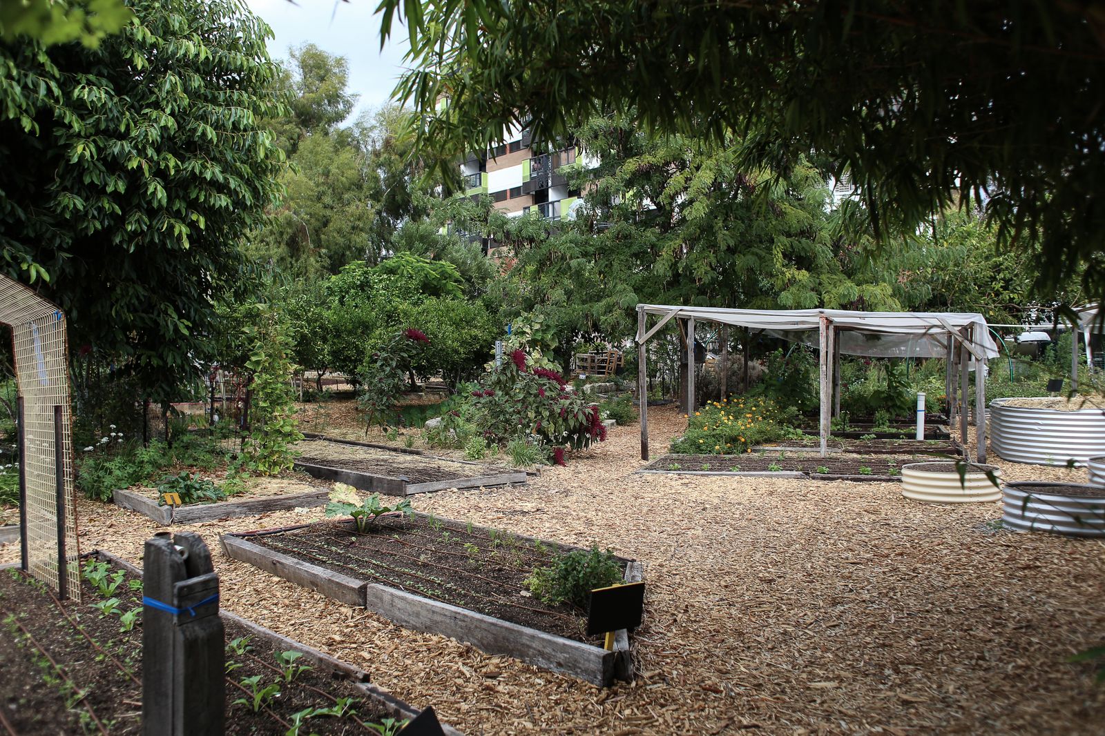 Community garden, Miami